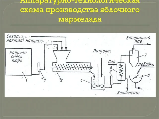 Аппаратурно-технологическая схема производства яблочного мармелада