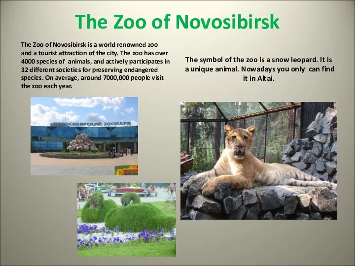 The Zoo of Novosibirsk The Zoo of Novosibirsk is a