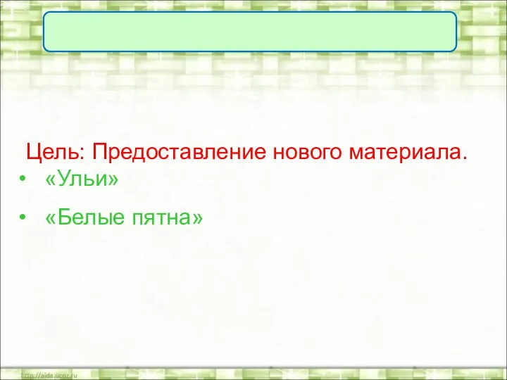 Цель: Предоставление нового материала. «Ульи» «Белые пятна»