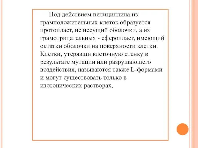 Под действием пенициллина из грамположительных клеток образуется протопласт, не несущий оболочки, а из