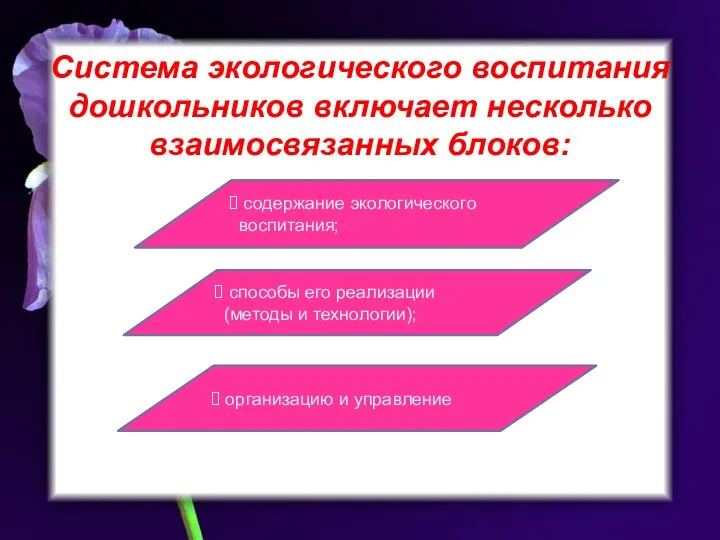 Система экологического воспитания дошкольников включает несколько взаимосвязанных блоков: содержание экологического