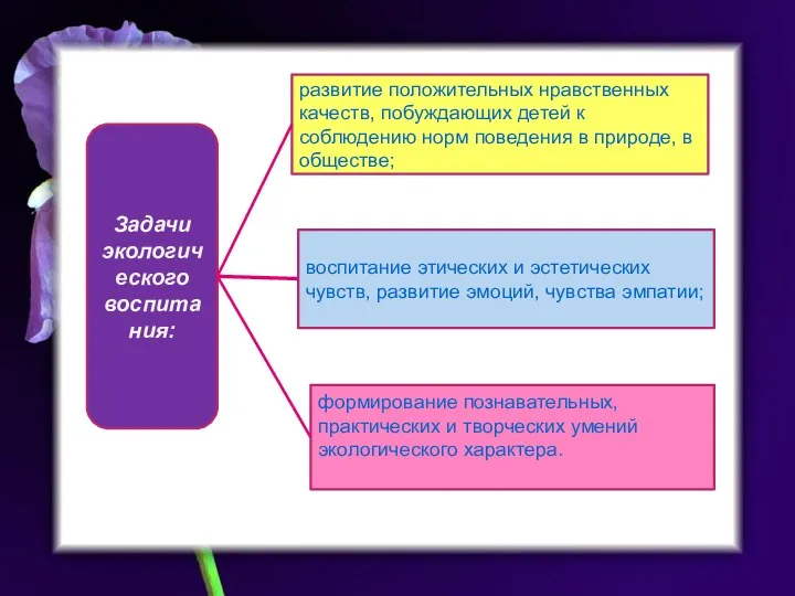 Задачи экологического воспитания: развитие положительных нравственных качеств, побуждающих детей к