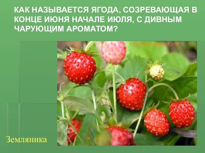 Как называется ягода, созревающая В конце июня начале июля, с дивным чарующим ароматом? Земляника