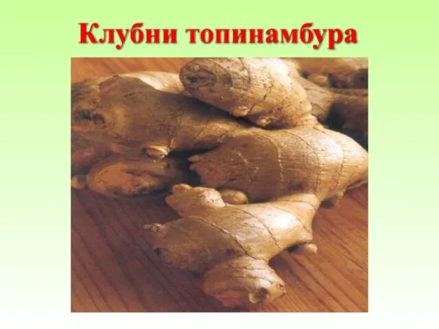 Клубни топинамбура