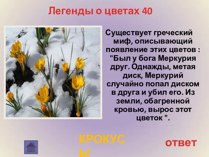 Легенды о цветах 40 Существует греческий миф, описывающий появление этих