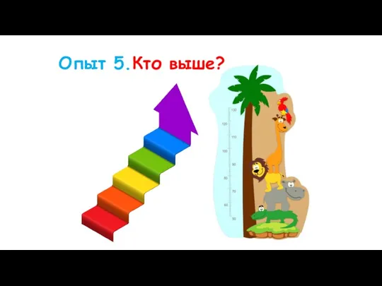 Опыт 5.Кто выше?