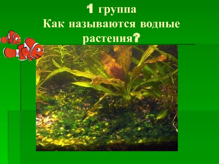 1 группа Как называются водные растения?