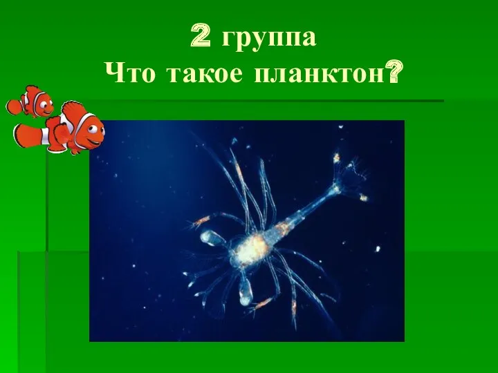 2 группа Что такое планктон?