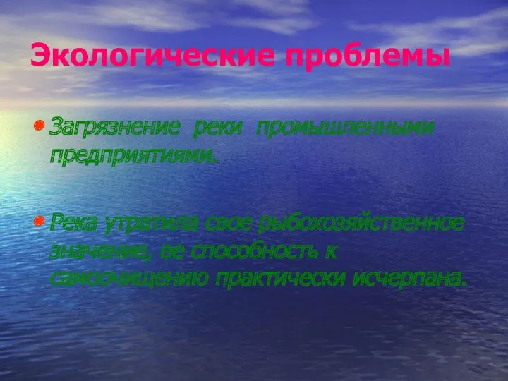 Экологические проблемы Загрязнение реки промышленными предприятиями. Река утратила свое рыбохозяйственное