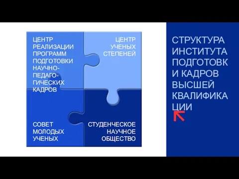 СТРУКТУРА ИНСТИТУТА ПОДГОТОВКИ КАДРОВ ВЫСШЕЙ КВАЛИФИКАЦИИ ЦЕНТР РЕАЛИЗАЦИИ ПРОГРАММ ПОДГОТОВКИ