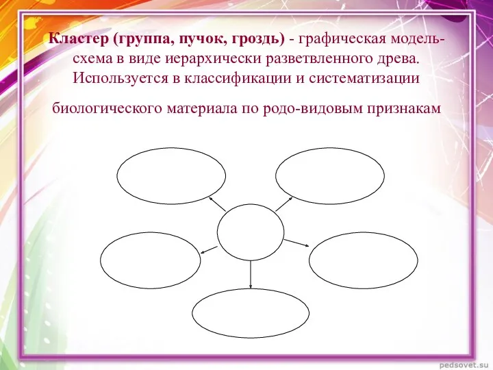 Кластер (группа, пучок, гроздь) - графическая модель-схема в виде иерархически