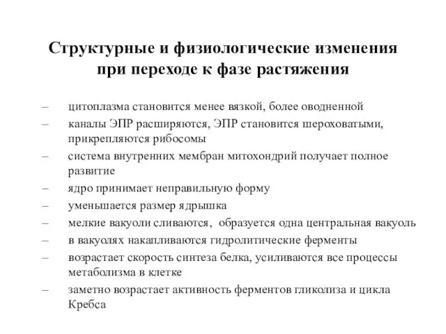 Структурные и физиологические изменения при переходе к фазе растяжения цитоплазма