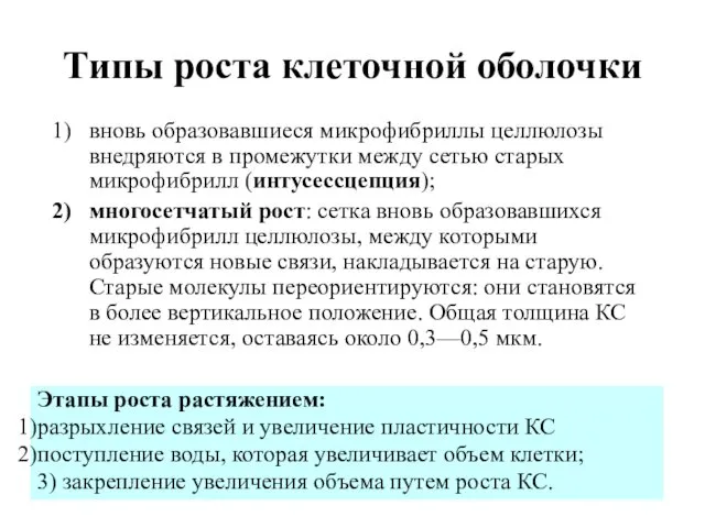 Типы роста клеточной оболочки вновь образовавшиеся микрофибриллы целлюлозы внедряются в