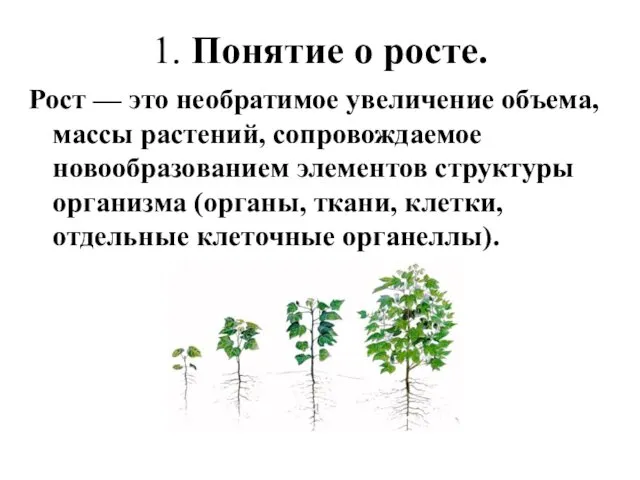 1. Понятие о росте. Рост — это необратимое увеличение объема,