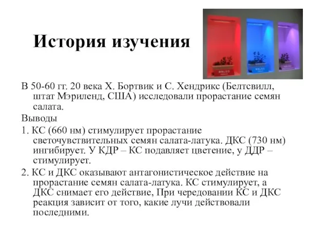 История изучения В 50-60 гг. 20 века Х. Бортвик и