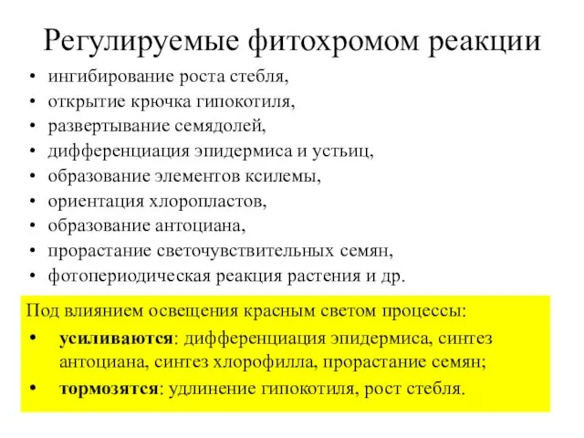 Регулируемые фитохромом реакции ингибирование роста стебля, открытие крючка гипокотиля, развертывание