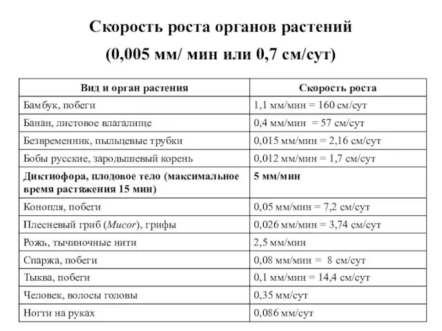 Скорость роста органов растений (0,005 мм/ мин или 0,7 см/сут)