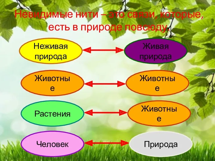 Невидимые нити – это связи, которые, есть в природе повсюду.