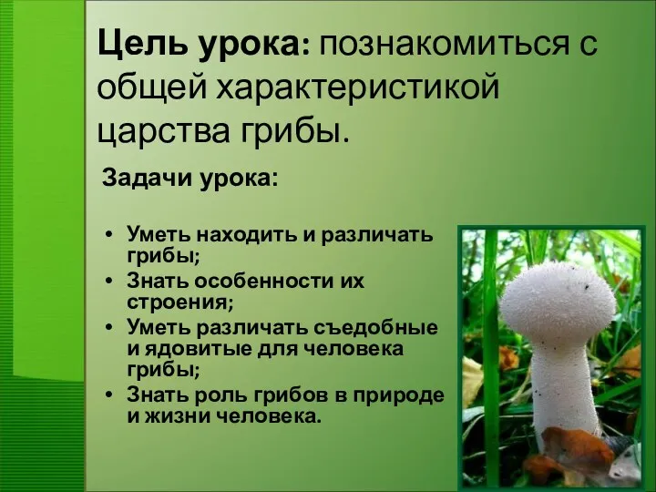 Цель урока: познакомиться с общей характеристикой царства грибы. Задачи урока: Уметь находить и
