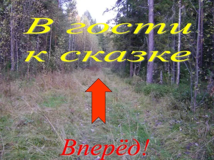 Вперёд! В гости к сказке