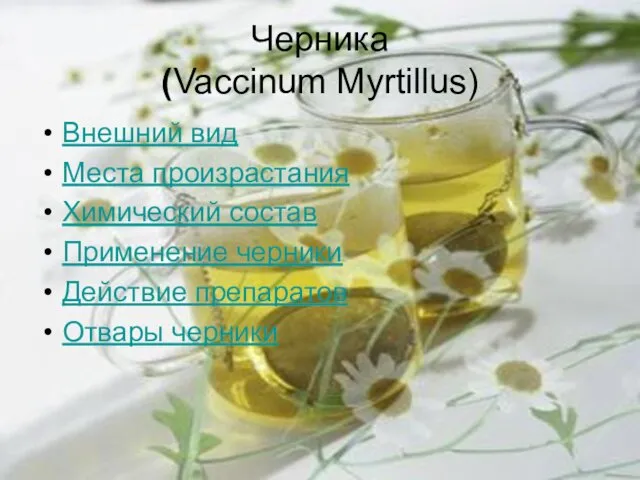 Черника (Vaccinum Myrtillus) Внешний вид Места произрастания Химический состав Применение черники Действие препаратов Отвары черники