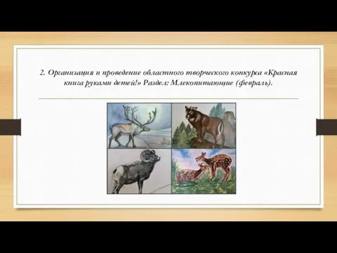 2. Организация и проведение областного творческого конкурса «Красная книга руками детей!» Раздел: Млекопитающие (февраль).