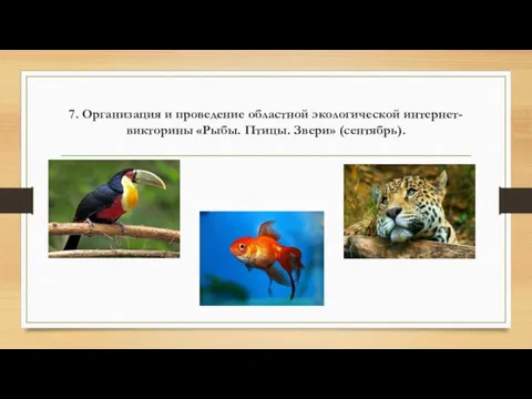 7. Организация и проведение областной экологической интернет-викторины «Рыбы. Птицы. Звери» (сентябрь).