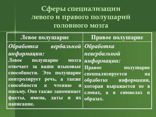 Сферы специализации левого и правого полушарий головного мозга