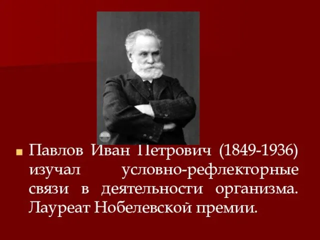 Павлов Иван Петрович (1849-1936) изучал условно-рефлекторные связи в деятельности организма. Лауреат Нобелевской премии.