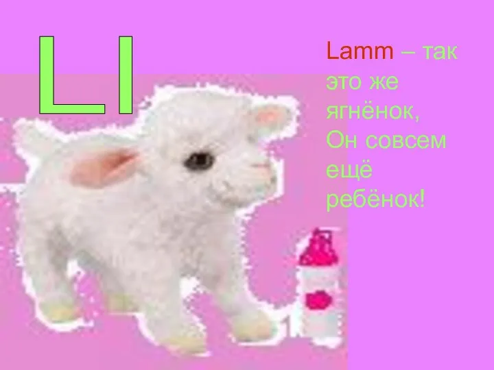 Ll Lamm – так это же ягнёнок, Он совсем ещё ребёнок!