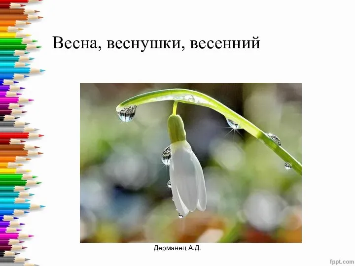 Весна, веснушки, весенний Дерманец А.Д.