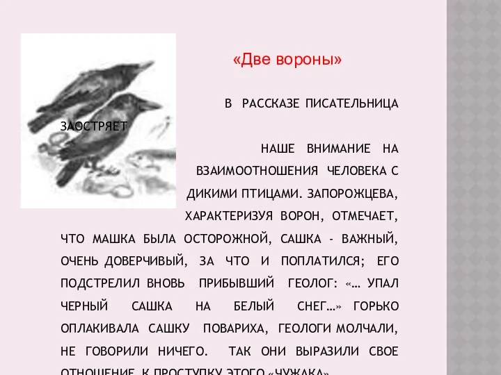 В РАССКАЗЕ ПИСАТЕЛЬНИЦА ЗАОСТРЯЕТ НАШЕ ВНИМАНИЕ НА ВЗАИМООТНОШЕНИЯ ЧЕЛОВЕКА С