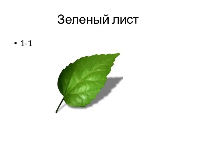 Зеленый лист 1-1