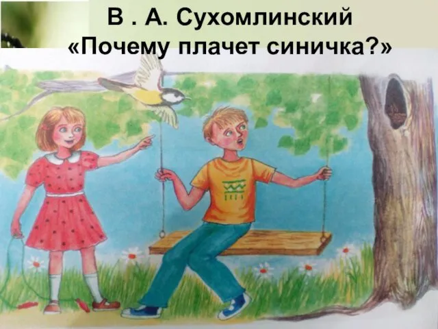 В . А. Сухомлинский «Почему плачет синичка?»