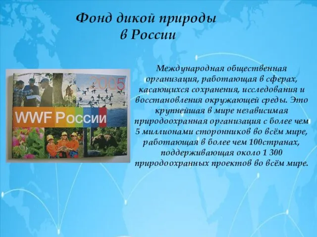Фонд дикой природы в России Международная общественная организация, работающая в