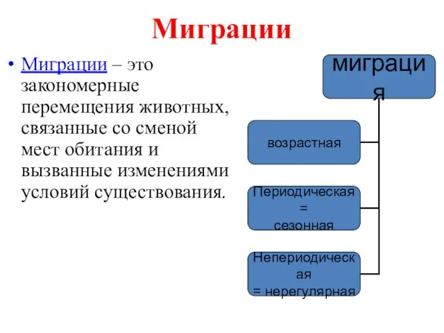 Миграции Миграции – это закономерные перемещения животных, связанные со сменой