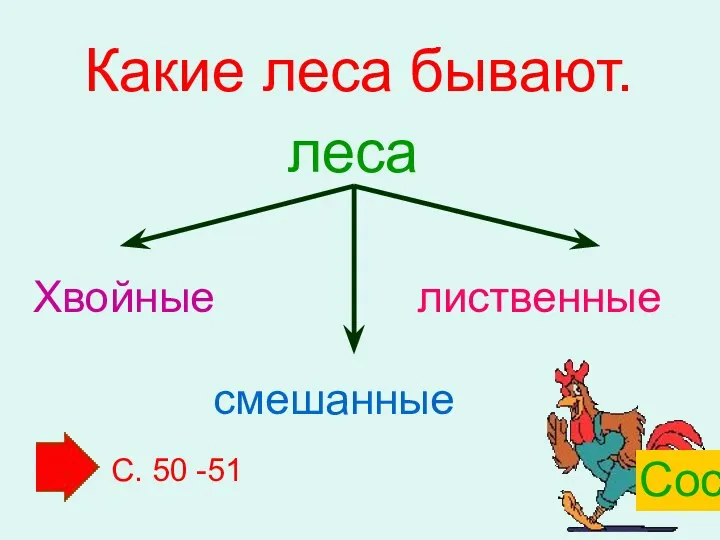 Какие леса бывают. леса Хвойные смешанные лиственные