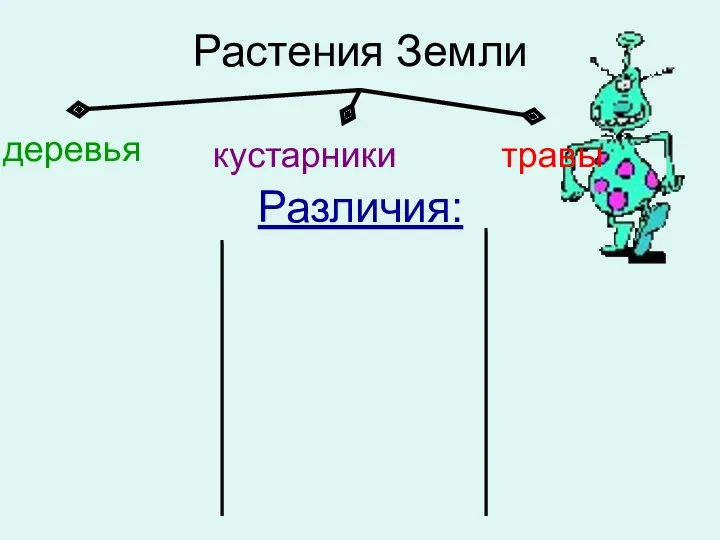 Растения Земли деревья кустарники травы Различия: