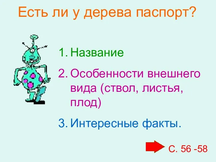 Есть ли у дерева паспорт? Название Особенности внешнего вида (ствол, листья, плод) Интересные факты.