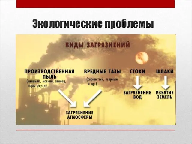 Экологические проблемы