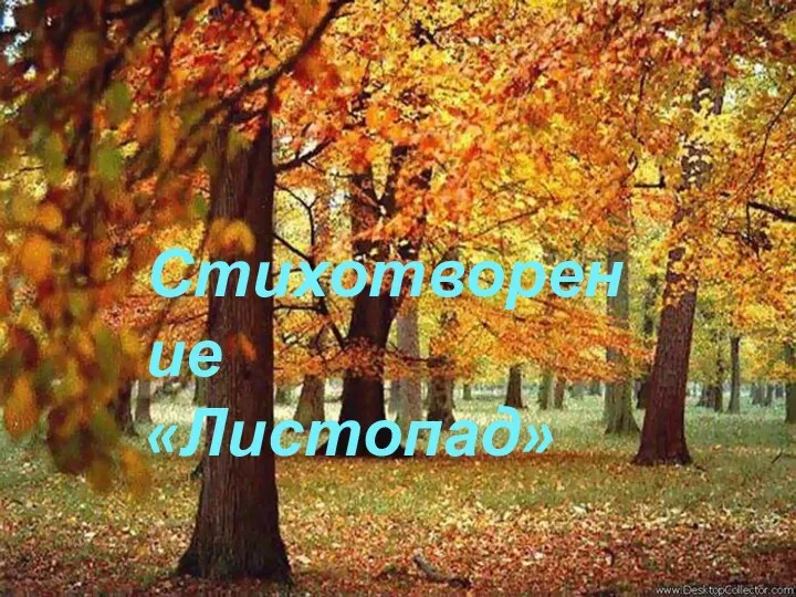 Стихотворение «Листопад»