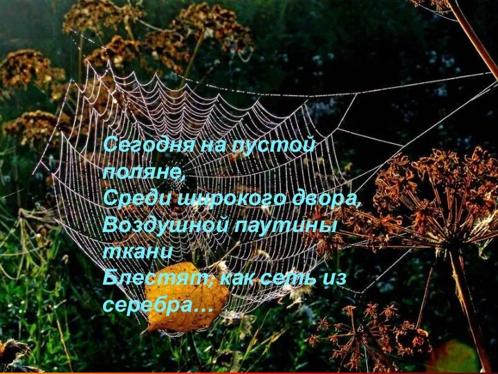 Сегодня на пустой поляне, Среди широкого двора, Воздушной паутины ткани Блестят, как сеть из серебра…