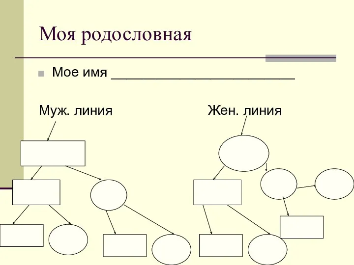 Моя родословная Мое имя ________________________ Муж. линия Жен. линия