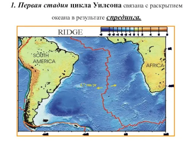 1. Первая стадия цикла Уилсона связана с раскрытием океана в результате спрединга.