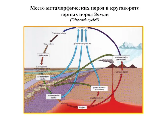 Место метаморфических пород в круговороте горных пород Земли ("the rock cycle")