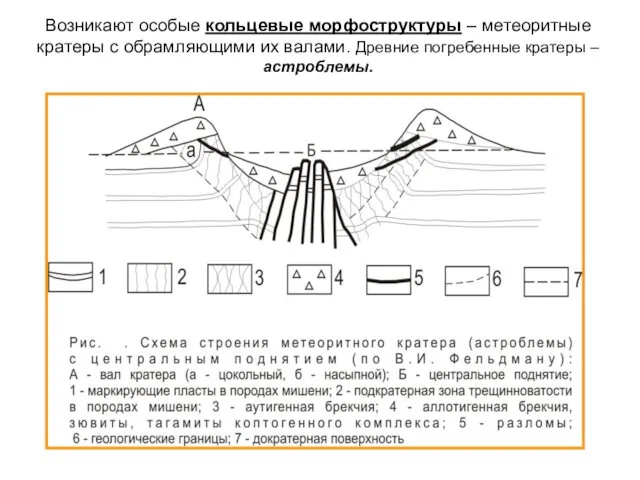 Возникают особые кольцевые морфоструктуры – метеоритные кратеры с обрамляющими их валами. Древние погребенные кратеры – астроблемы.