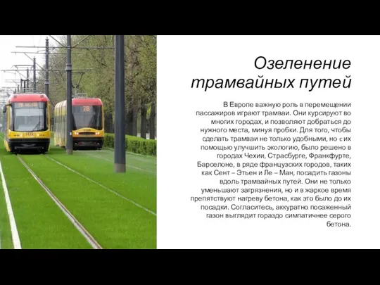 Озеленение трамвайных путей В Европе важную роль в перемещении пассажиров