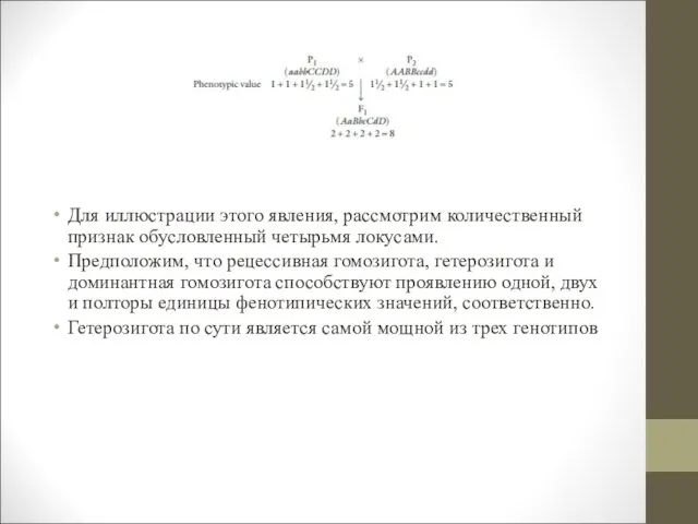 Для иллюстрации этого явления, рассмотрим количественный признак обусловленный четырьмя локусами.