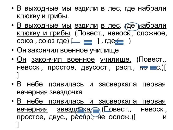 В выходные мы ездили в лес, где набрали клюкву и