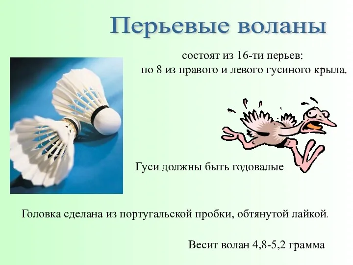 состоят из 16-ти перьев: по 8 из правого и левого гусиного крыла. Гуси